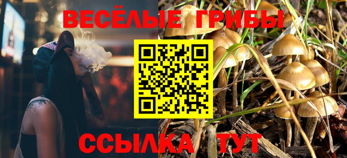 закладки  Вход с VPN  Гатчина  Галлюциногенные грибы прущие грибы 